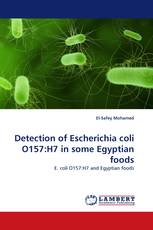 Detection of Escherichia coli O157:H7 in some Egyptian foods