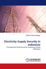 Electricity Supply Security in Indonesia