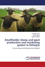 Smallholder sheep and goat production and marketing system in Ethiopia