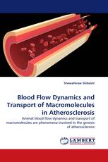 Blood Flow Dynamics and Transport of Macromolecules in Atherosclerosis
