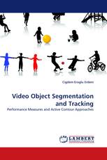 Video Object Segmentation and Tracking