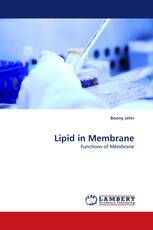 Lipid in Membrane
