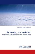 β-Catenin, TCF, and ICAT