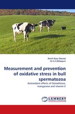 Measurement and prevention of oxidative stress in bull spermatozoa