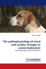 The pathophysiology of renal and cardiac changes in canine babesiosis