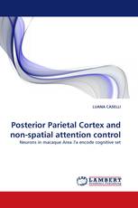 Posterior Parietal Cortex and non-spatial attention control