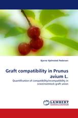 Graft compatibility in Prunus avium L.