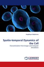 Spatio-temporal Dynamics of the Cell