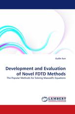 Development and Evaluation of Novel FDTD Methods