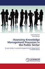 Assessing Knowledge Management Processes in the Public Sector