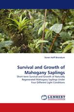 Survival and Growth of Mahogany Saplings