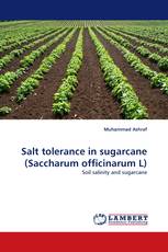 Salt tolerance in sugarcane (Saccharum officinarum L)