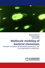 Multiscale modeling of bacterial chemotaxis