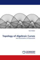 Topology of Algebraic Curves