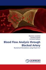 Blood Flow Analysis through Blocked Artery