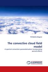 The convective cloud field model