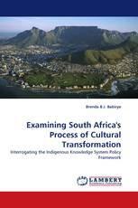 Examining South Africa's Process of Cultural Transformation