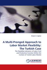 A Multi-Pronged Approach to Labor Market Flexibility: The Turkish Case
