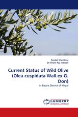 Current Status of Wild Olive (Olea cuspidata Wall.ex G. Don)