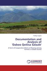 Documentation and Analysis of 'Daboo Qotiisa Salaale'