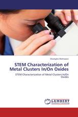 STEM Characterization of Metal Clusters In/On Oxides