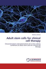 Adult stem cells for clinical cell therapy