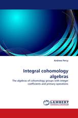 Integral cohomology algebras