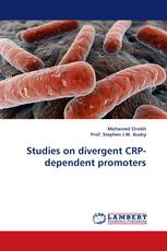 Studies on divergent CRP-dependent promoters