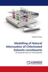 Modelling of Natural Attenuation of Chlorinated Solvents constituents