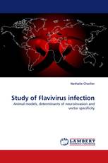 Study of Flavivirus infection