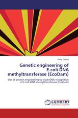 Genetic engineering of E.coli DNA methyltransferase (EcoDam)