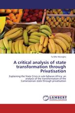 A critical analysis of state transformation through Privatisation