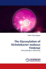 The Glycosylation of Dichelobacter nodosus Fimbriae