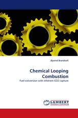 Chemical Looping Combustion