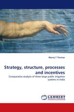 Strategy, structure, processes and incentives