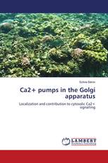 Ca2+ pumps in the Golgi apparatus
