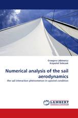 Numerical analysis of the sail aerodynamics