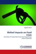 Biofuel Impacts on Food Crisis