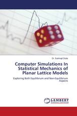 Computer Simulations In Statistical Mechanics of Planar Lattice Models