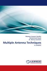 Multiple Antenna Techniques