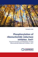 Phosphorylation of ribonucleotide reductase inhibitor, Sml1