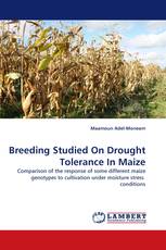 Breeding Studied On Drought Tolerance In Maize