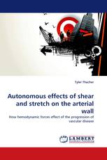 Autonomous effects of shear and stretch on the arterial wall