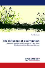The Influence of Bioirrigation