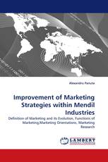 Improvement of Marketing Strategies within Mendil Industries