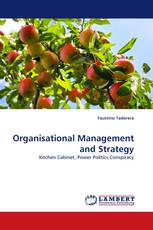 Organisational Management and Strategy