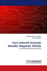 Ions Induced Granular Metallic Magnetic Silicide