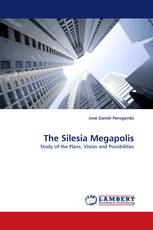 The Silesia Megapolis
