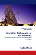 Estimation Techniques for LTE Downlink
