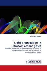 Light propagation in ultracold atomic gases